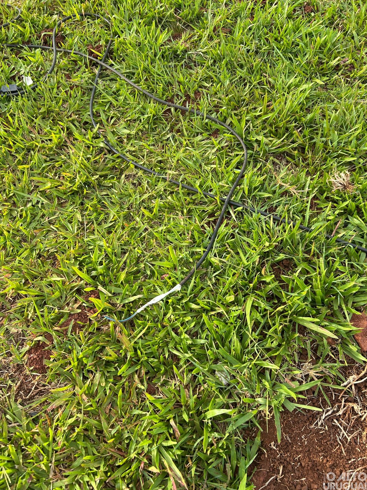 Decoração natalina é vandalizada em Seberi