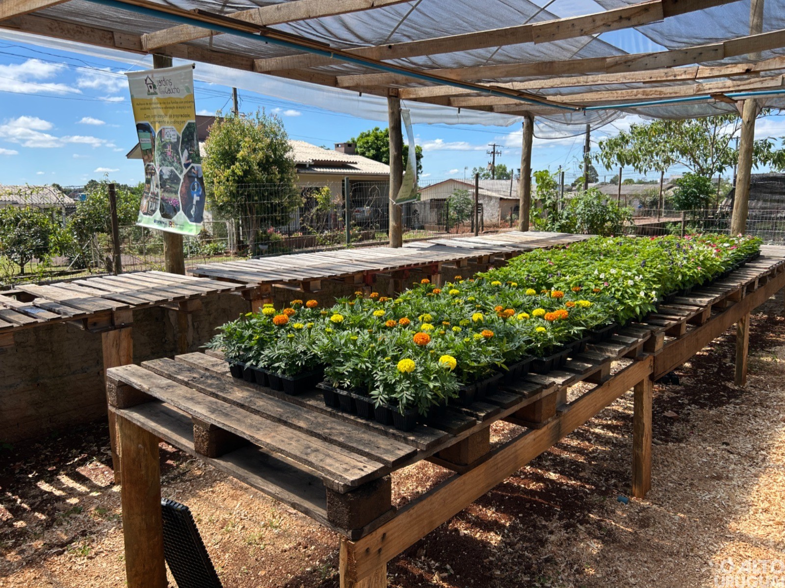 Inaugurado Viveiro Municipal do CEP Criança do Futuro em Seberi