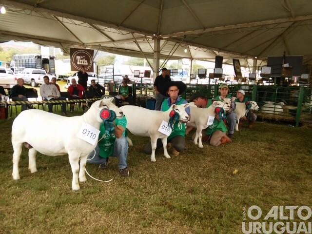 Inscrições para a Expointer 2021 são prorrogadas