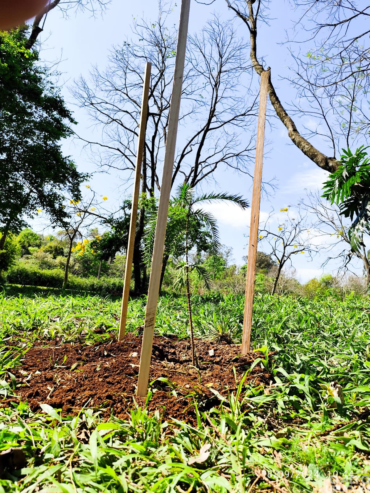 UFSM-FW realiza ato em homenagem a professores mortos em assalto