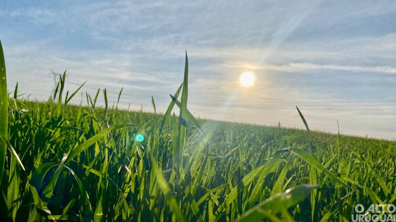 Categoria ensino médio, EJA e livre é destaque no Concurso Fotográfico de Novo Tiradentes