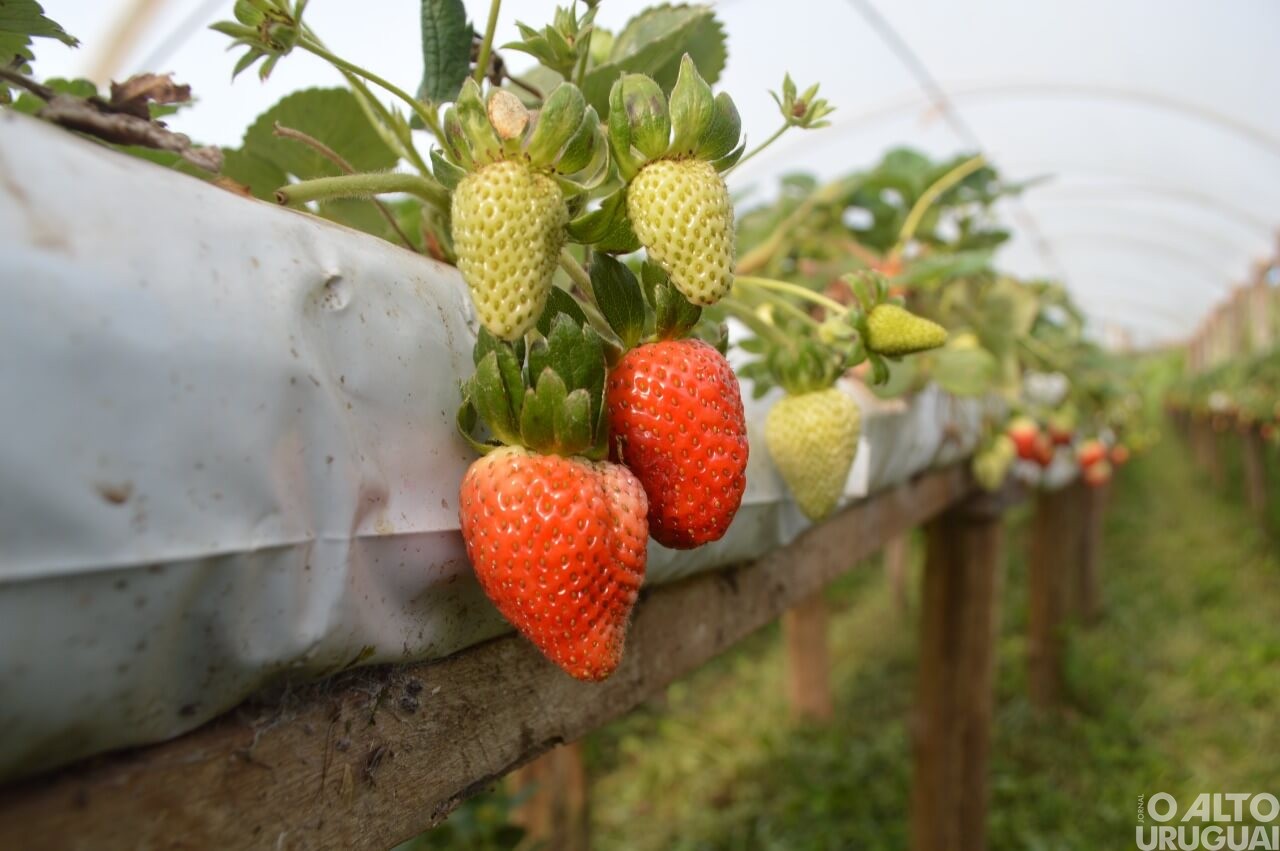 Sabores do Vale Café é inaugurada em FW