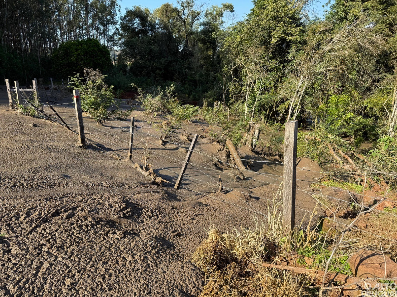 BM flagra intervenção em APP no município de Palmitinho