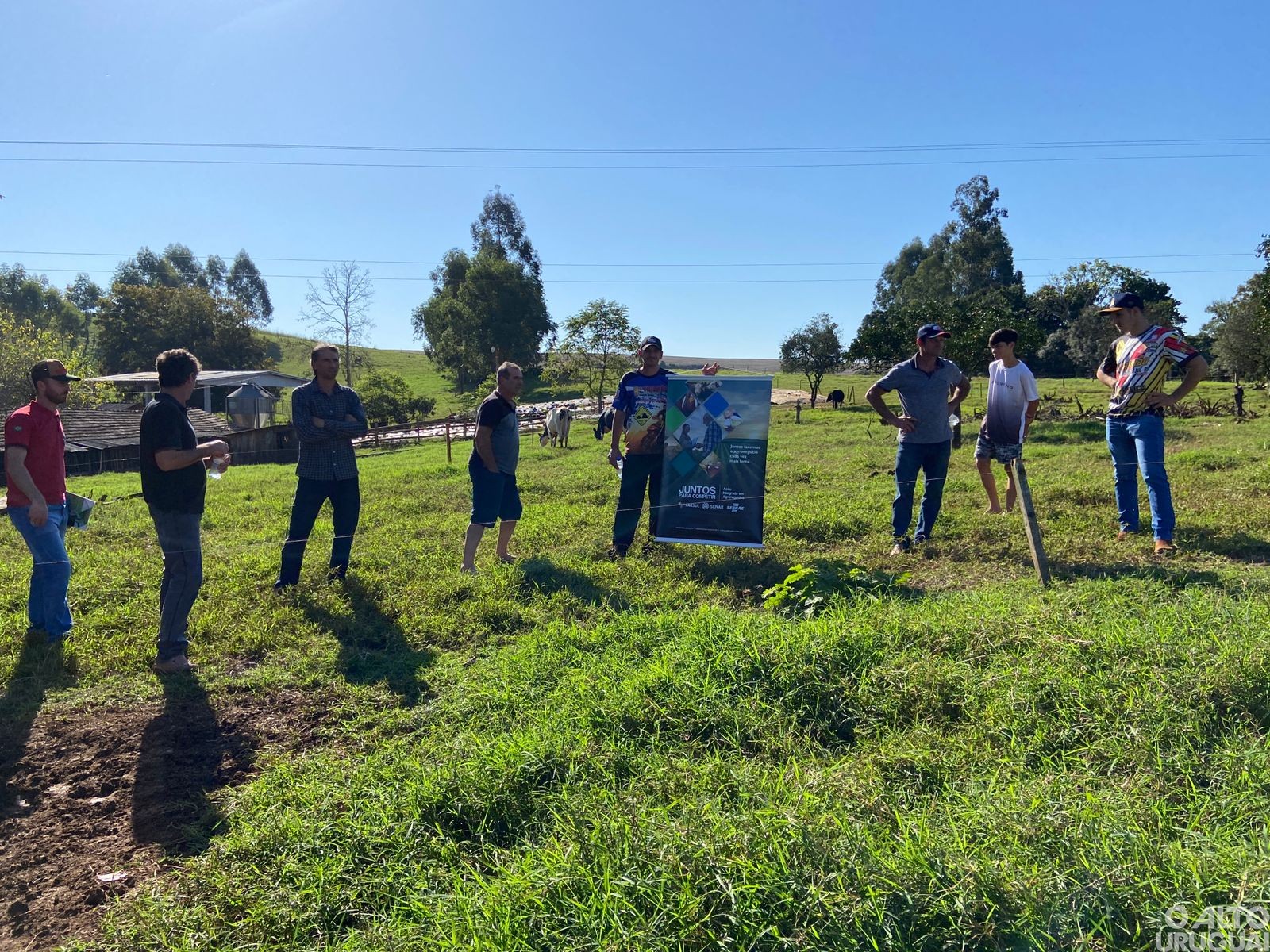 Manejo da Terneira e da Novilha Leiteira é tema de tarde de campo