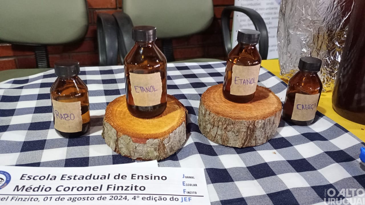 Escolas da região apresentam trabalhos na 47ª Expointer