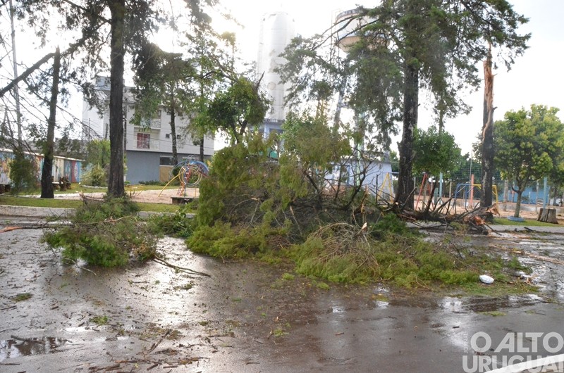 Vendaval causa estragos em Caiçara