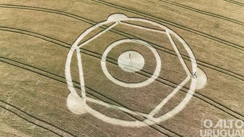 Figura geométrica aparece em plantação de trigo de SC