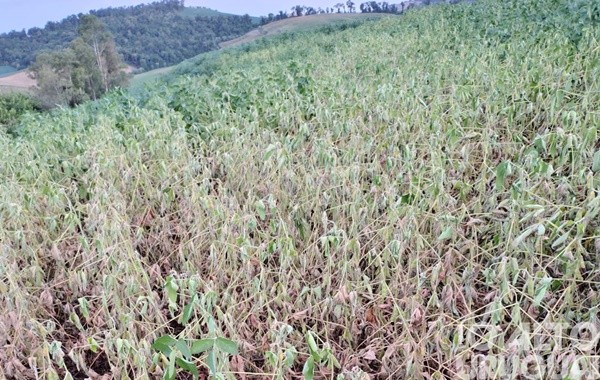 Seberi decreta situação de emergência devido à estiagem