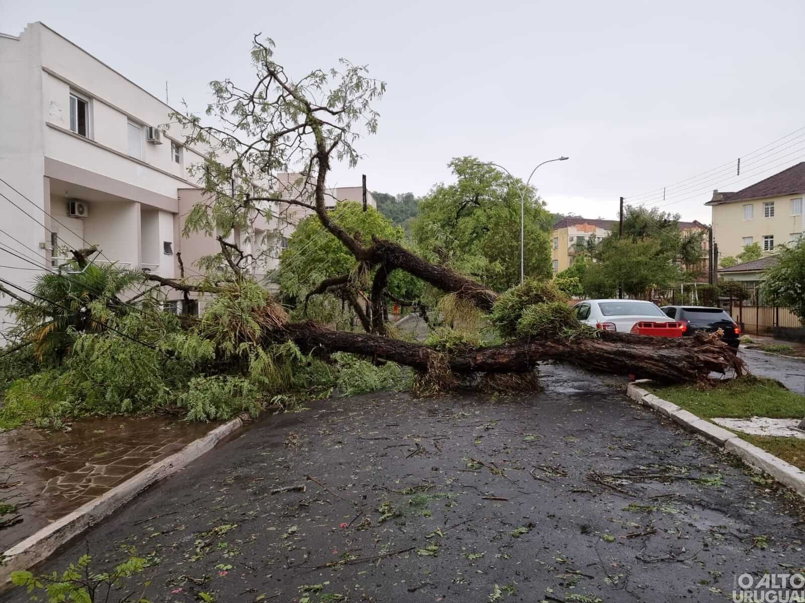 “Uma estiagem avassaladora, agora um temporal para levar o restante”