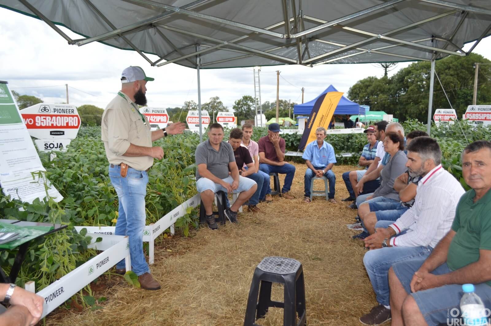 Cotrifred realiza Dia de Campo sobre o cultivo da soja