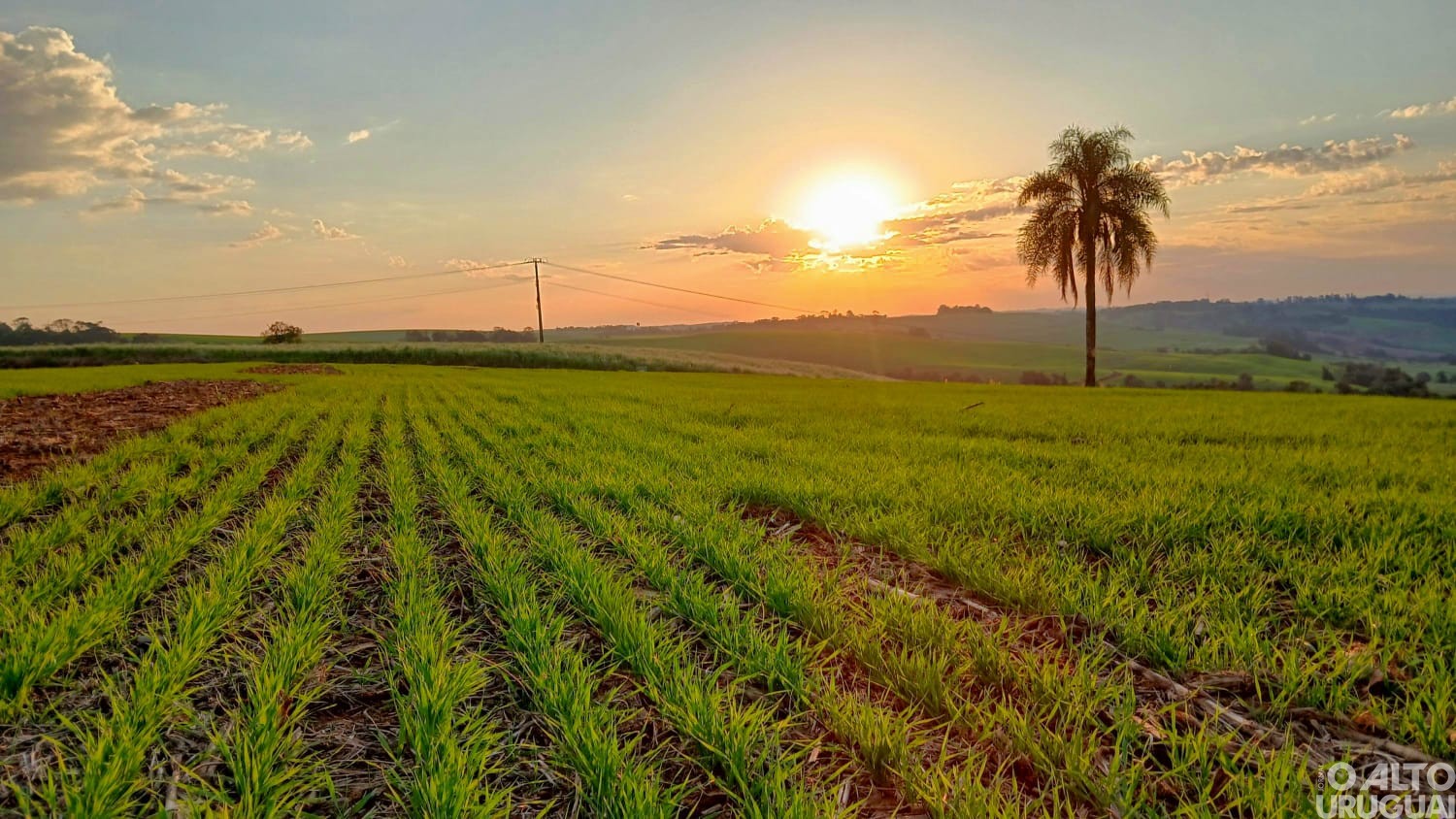 Categoria ensino médio, EJA e livre é destaque no Concurso Fotográfico de Novo Tiradentes