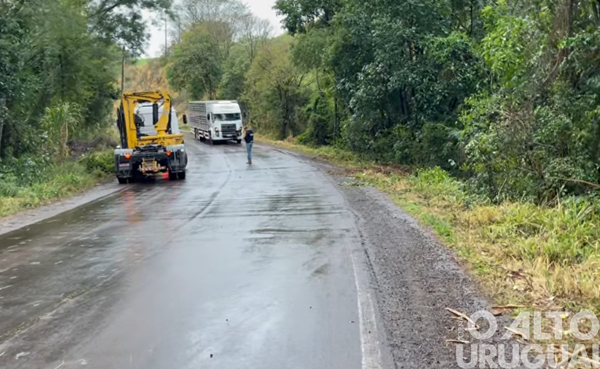 Caminhão com suínos sai da pista na ERS-587