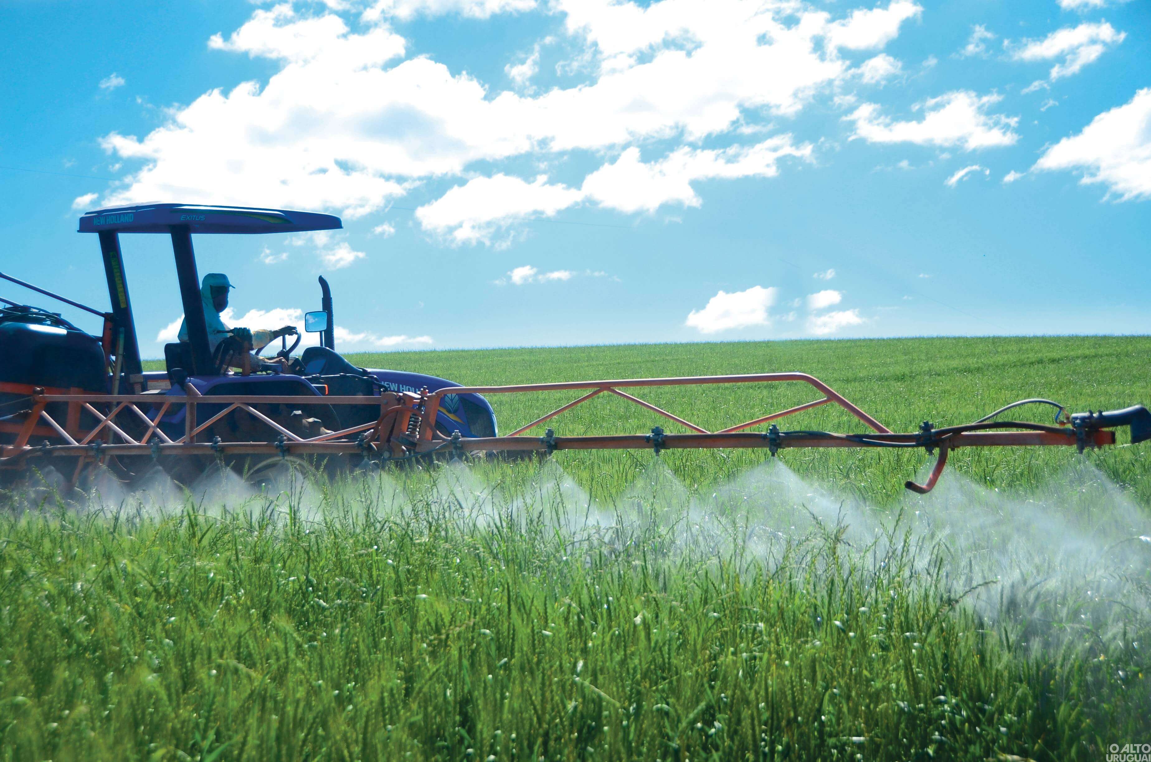 Insuficiência de chuvas coloca região em alerta