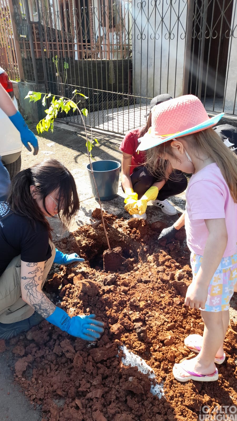 Centro Cultural 25 de Julho realiza projeto de arborização em FW
