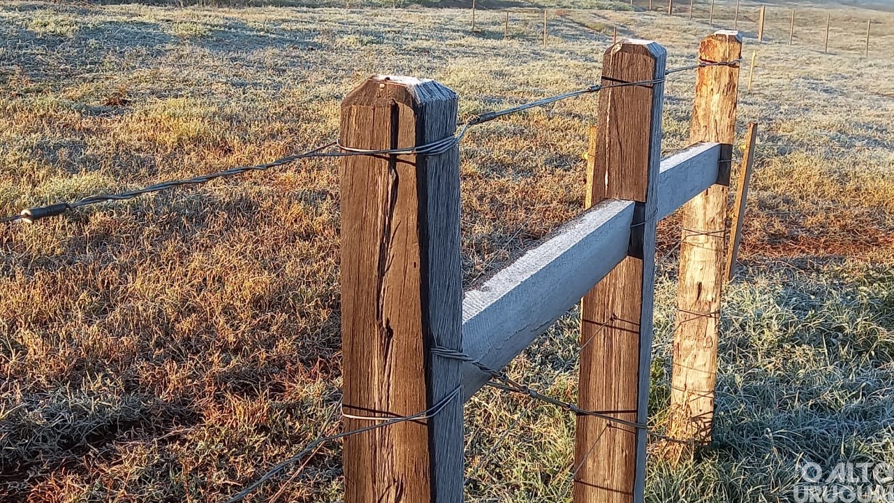 Morador registra geada na região