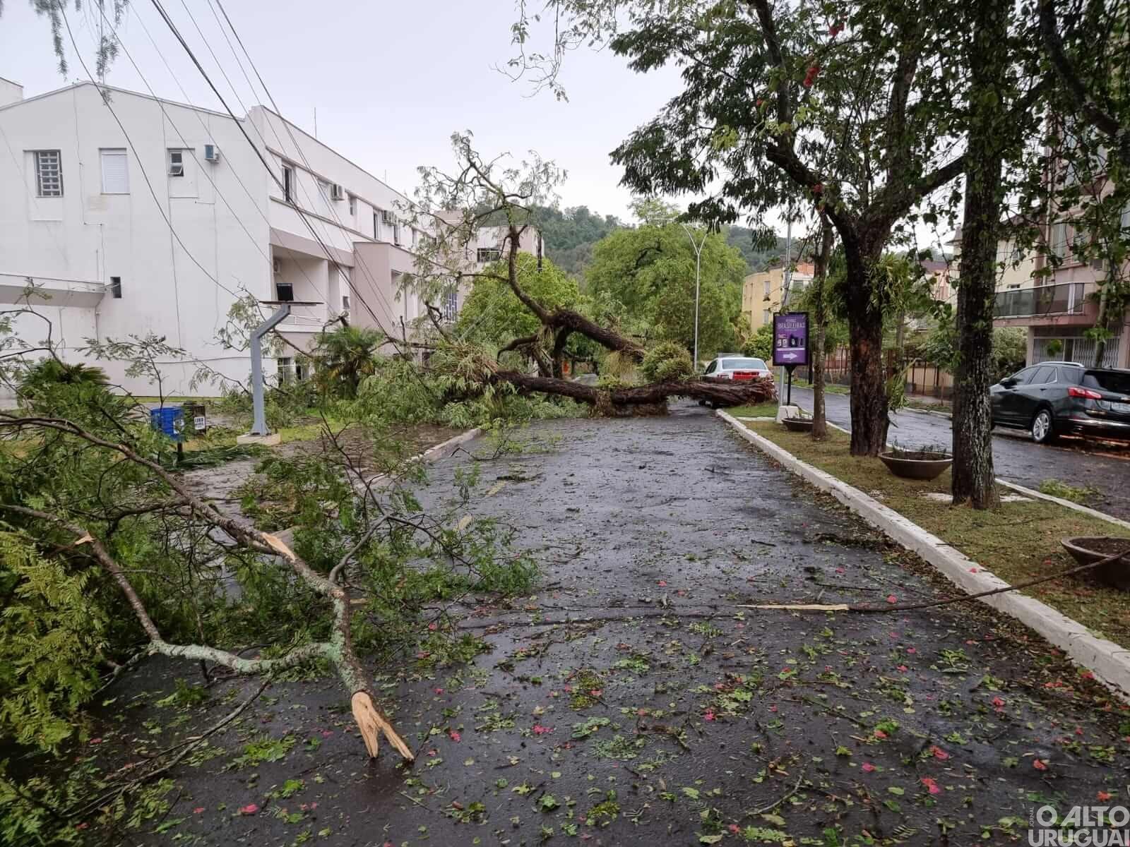 “Uma estiagem avassaladora, agora um temporal para levar o restante”