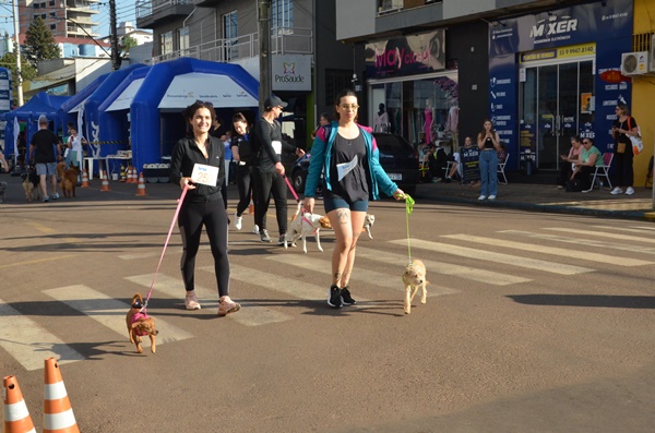 FW - Corrida pelos Animais
