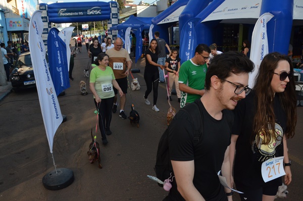 FW - Corrida pelos Animais