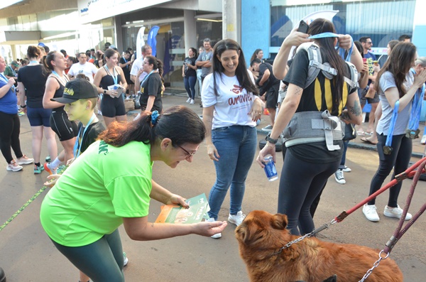 FW - Corrida pelos Animais