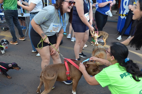 FW - Corrida pelos Animais