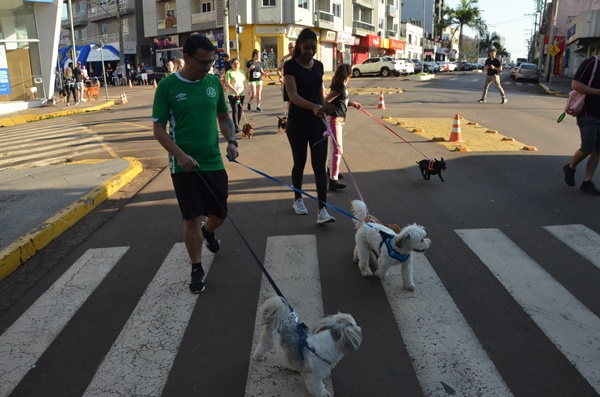FW - Corrida pelos Animais