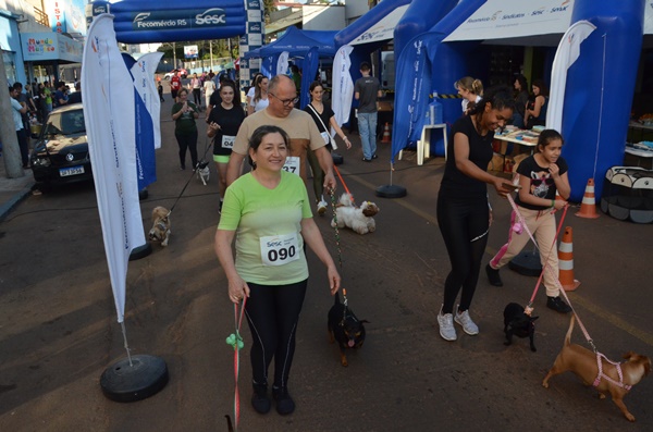 FW - Corrida pelos Animais