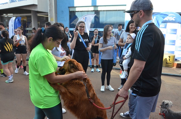 FW - Corrida pelos Animais