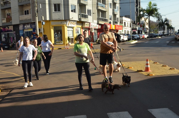 FW - Corrida pelos Animais